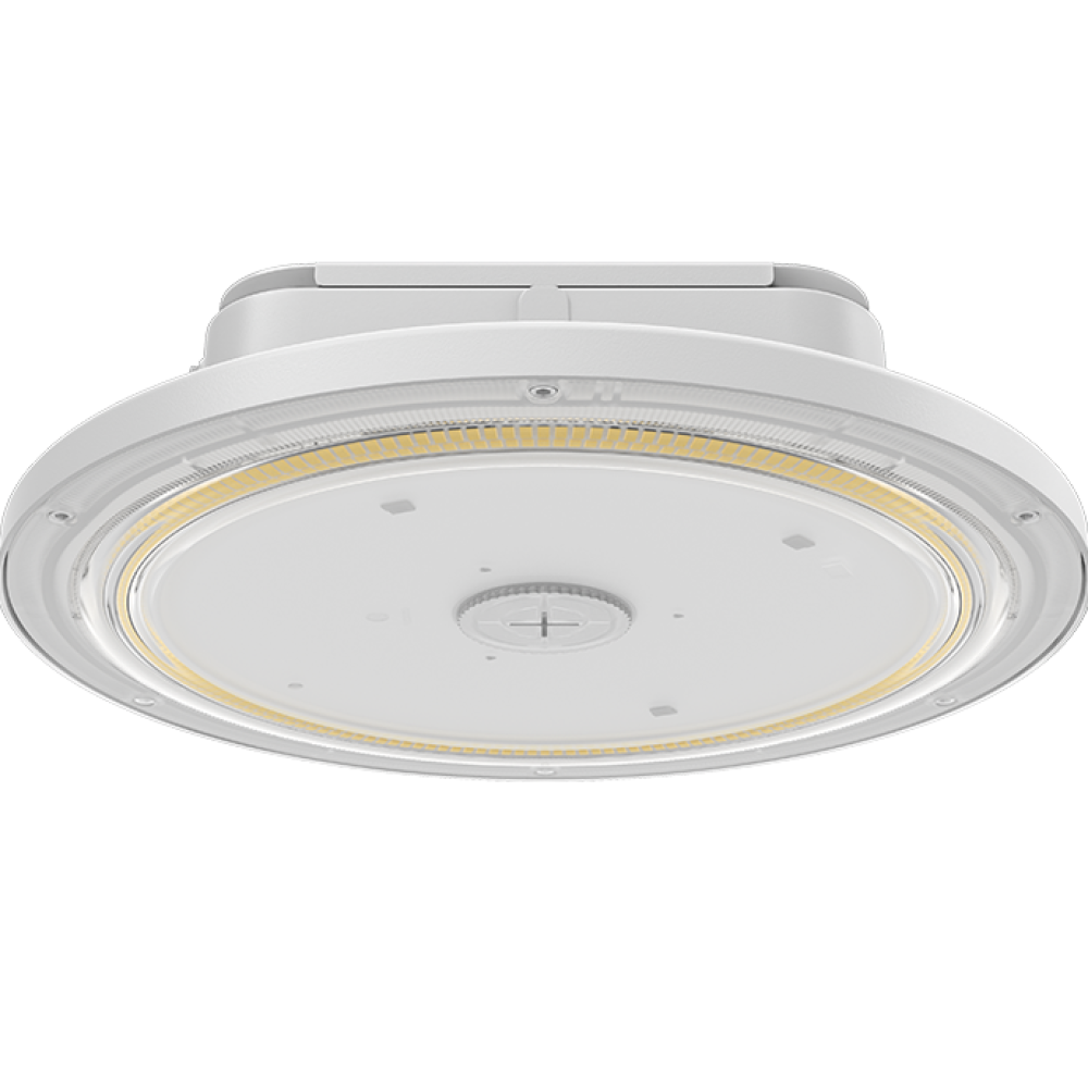 Canopy Garage Light
